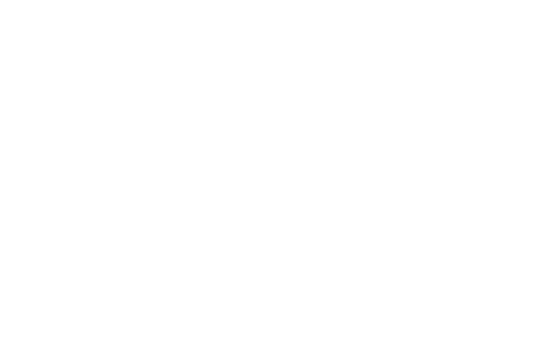 عرفان سعیدی