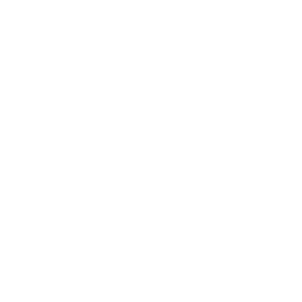 عرفان سعیدی