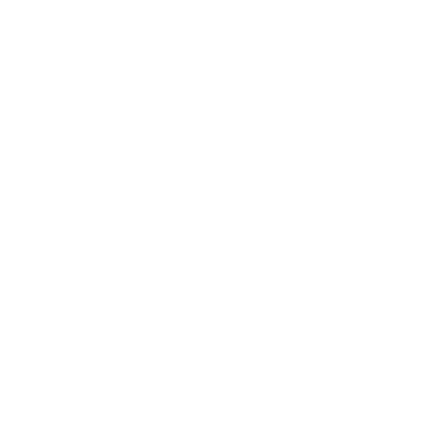 عرفان سعیدی