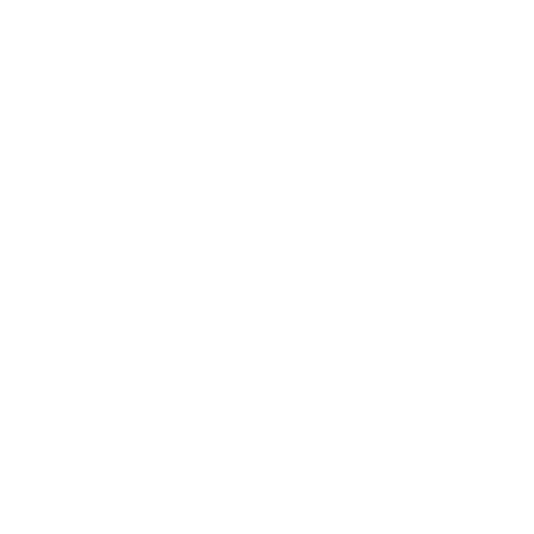عرفان سعیدی