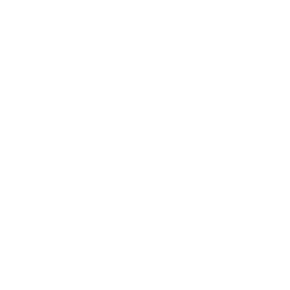 عرفان سعیدی