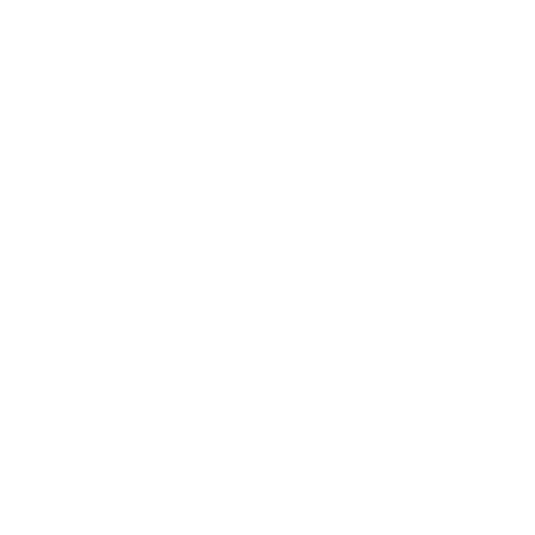 عرفان سعیدی