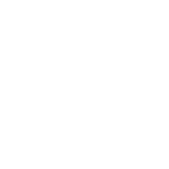 عرفان سعیدی
