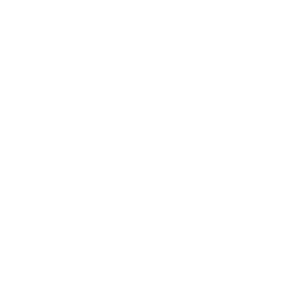 عرفان سعیدی